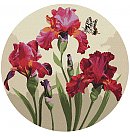 Komplekts gleznošanai pēc numuriem "Exquisite irises ©annasteshka", audekls uz apaļa apakšrāmja, D:33cm